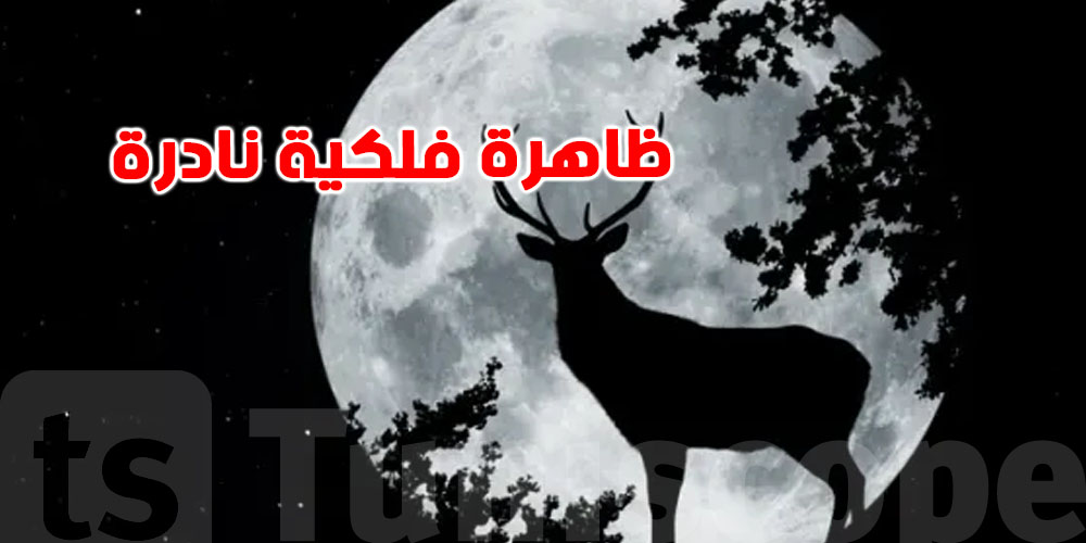 اليوم: قمر الغزال العملاق يُضيء سماء العالم...ماهي هذه الظاهرة؟
