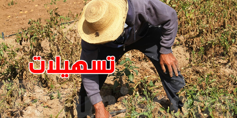 عاجل: تسهيلات جديدة للفلاحين كبار السن وقروض أكبر لموسم 2026/2025