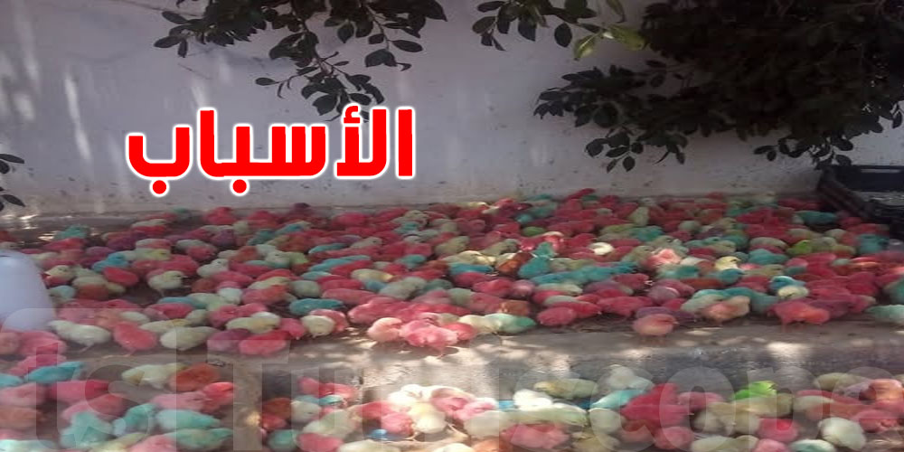 لماذا يختفي ''الفلوس'' الملون بسرعة من حياتنا؟
