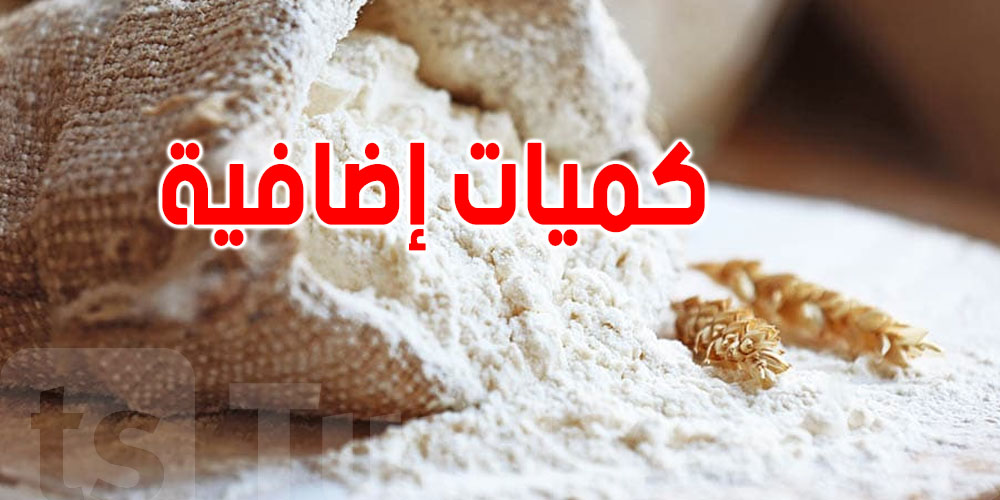 وزارة التجارة تُعلن ضخ كميات إضافية من الفارينة لموسم صيف 2025