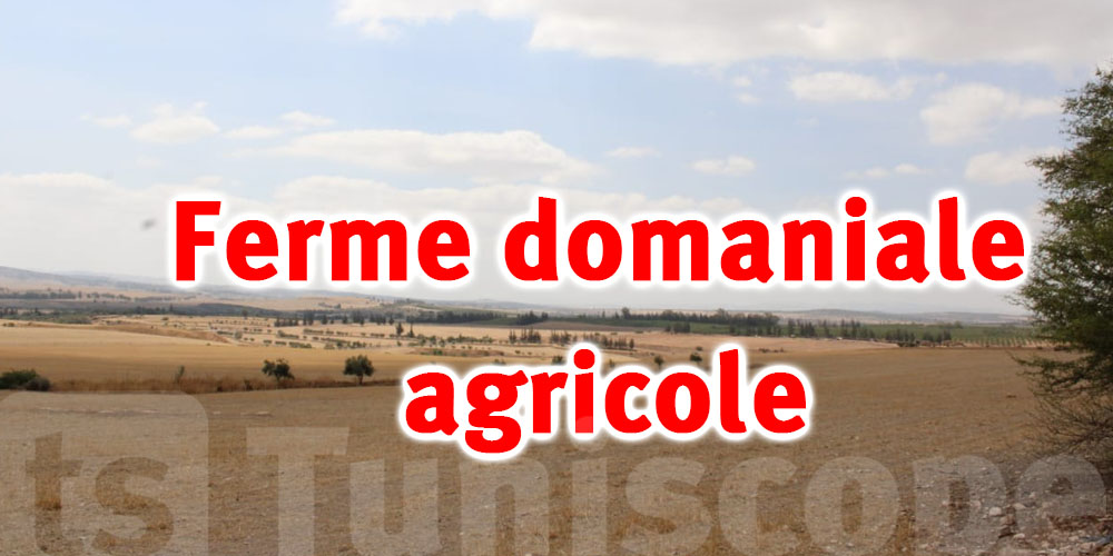 Siliana : Récupération d'une ferme domaniale agricole d'une superficie de 472 hectares 