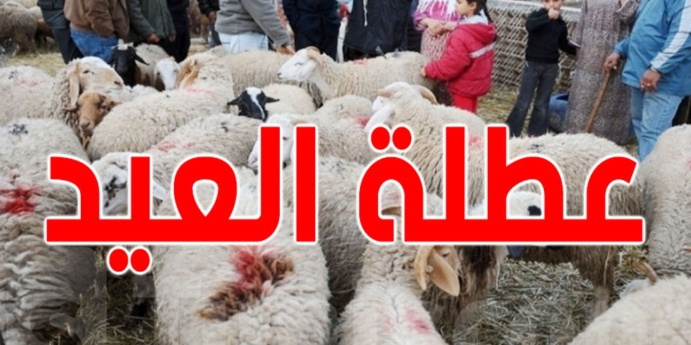متى تبدأ عطلة عيد الأضحى 2025 في الدول العربية؟ إليكم التفاصيل حسب كل دولة