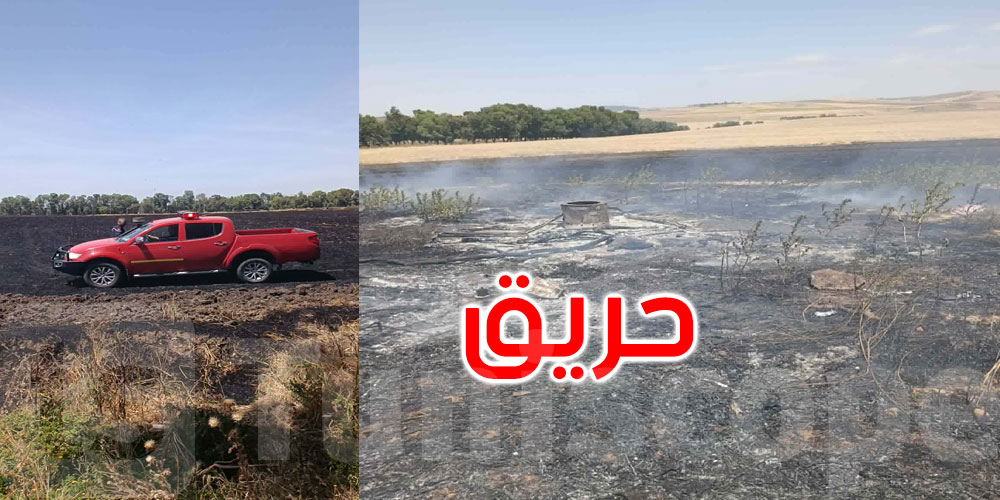 باجة: حريق يلتهم 4 هك من القمح