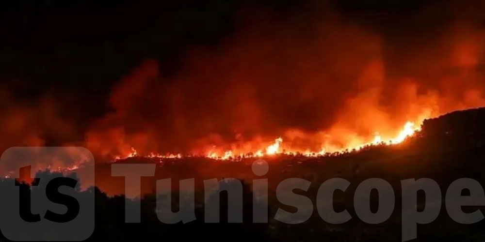 حريق جبل برقو: بطاقتا إيداع بالسجن في حق شخصين