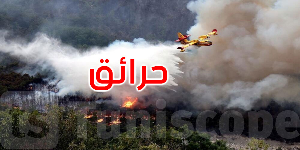 فرنسا: إغلاق مطار مرسيليا إثر حرائق مدمّرة جنوب البلاد