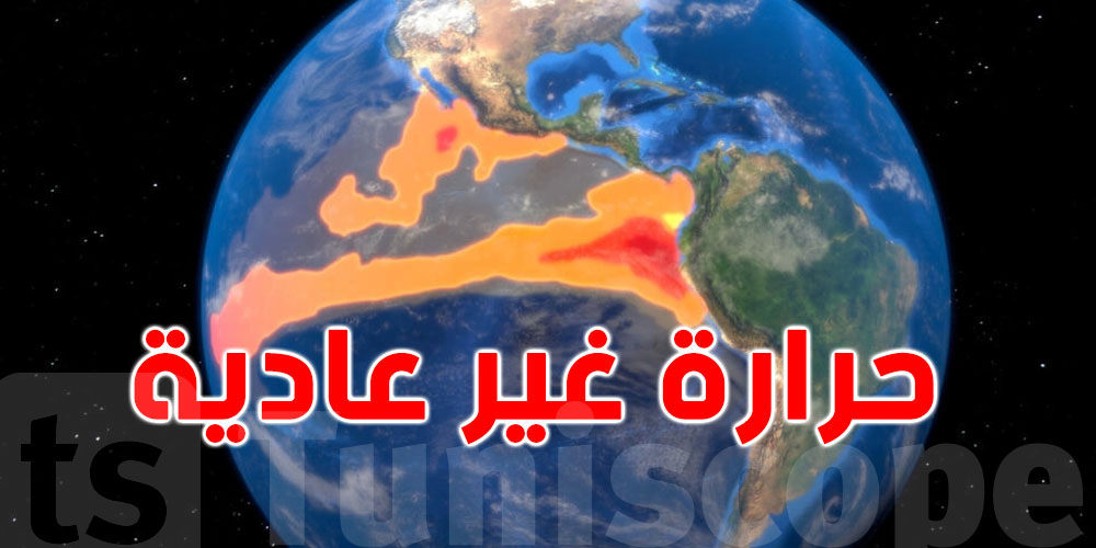 عاجل - منظمة الأرصاد تحذر: العواصف الرملية خطر متصاعد على الصحة والاقتصاد