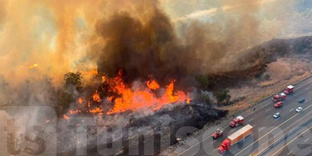 عاجل -إسبانيا : إجلاء أكثر من ألف شخص واتهامات بإشعال متعمّد