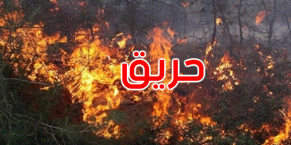 سليانة: السيطرة على حريق أتى على 43 هك و200 حزمة تبن