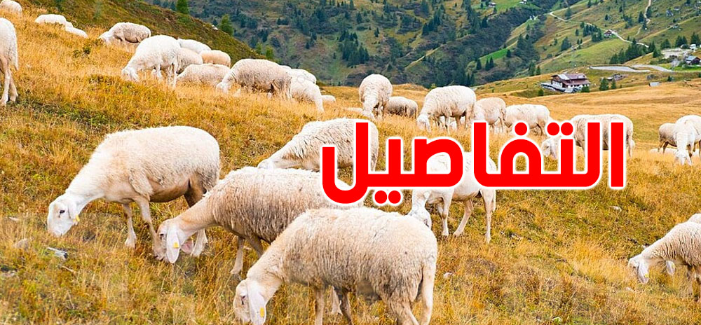 وزارة الفلاحة تُحذّر من مرض ''بومريرة''