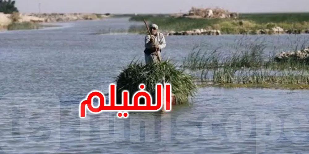  ‘كعكة الرئيس’.. فيلم عراقي يحاكي حكم صدام بمهرجان ‘كان’