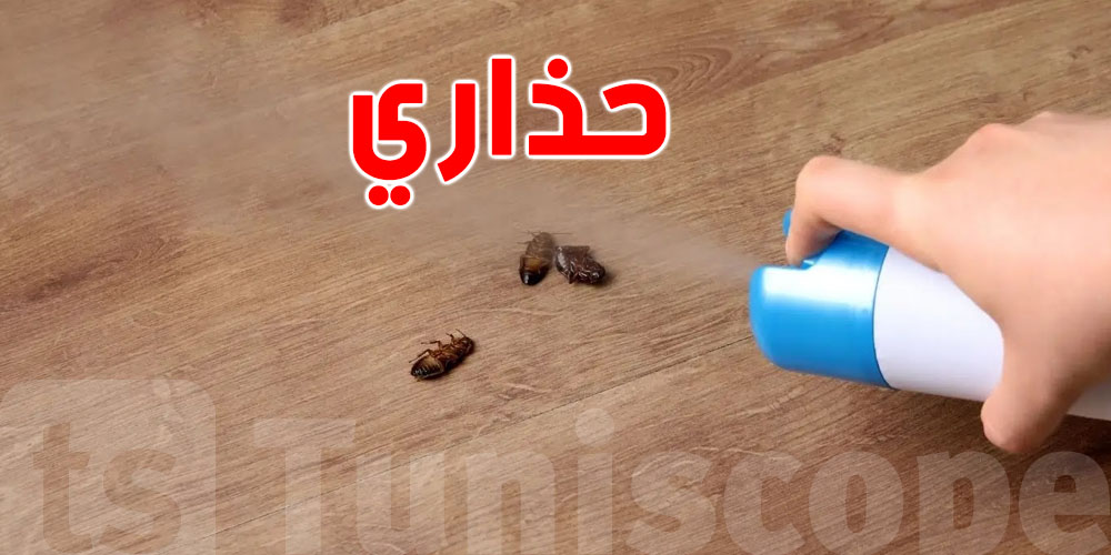 تحذير من مخاطر المبيدات الحشرية داخل المنازل… وهذه البدائل الطبيعية