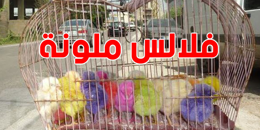 شنيا حكاية ''الصبيغة'' الي تتعمل للفلالس الصغار؟