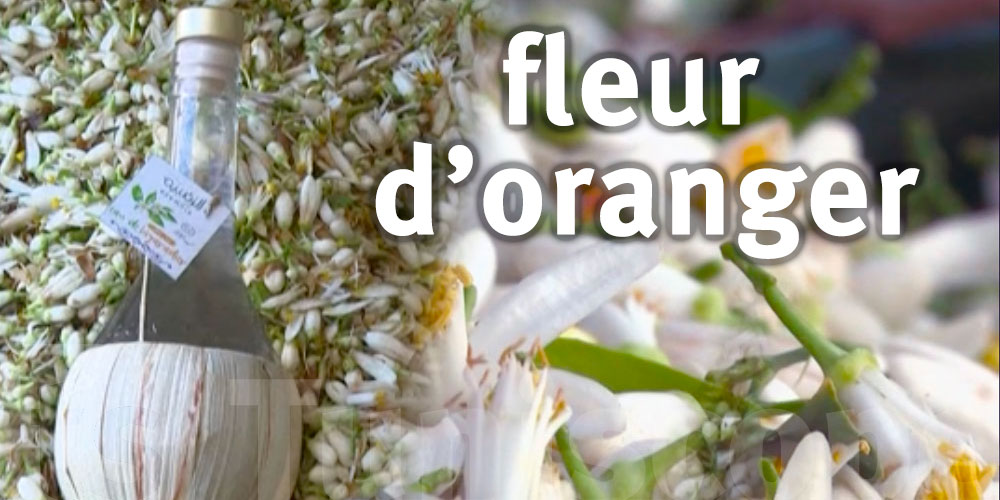 En vidéo : La fleur d'oranger de Nabeul fait la une de TV5 Monde