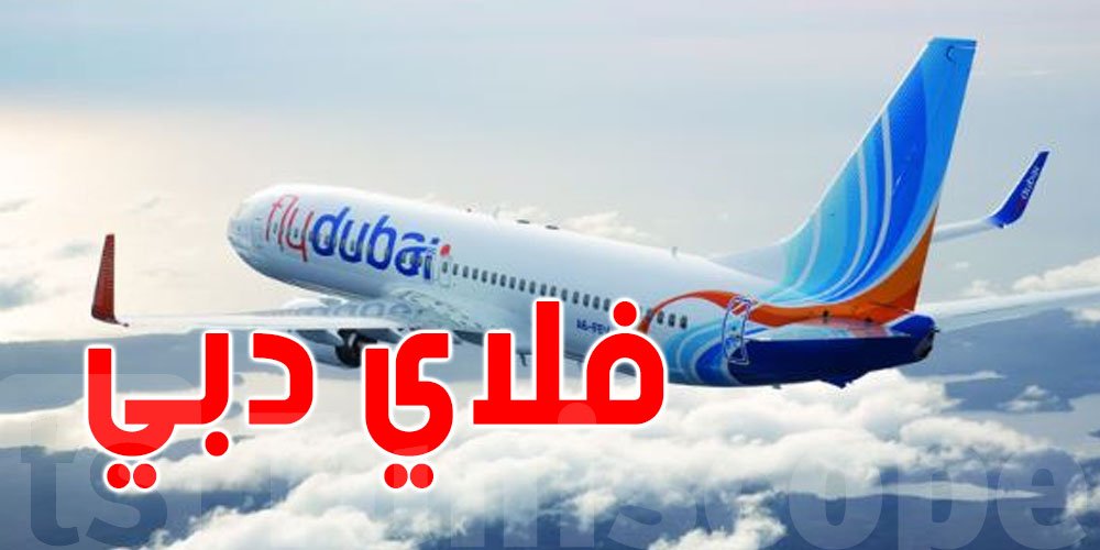 عاجل :  فلاي دبي توقف الرحلات إلى عواصم عربية وإقليمية