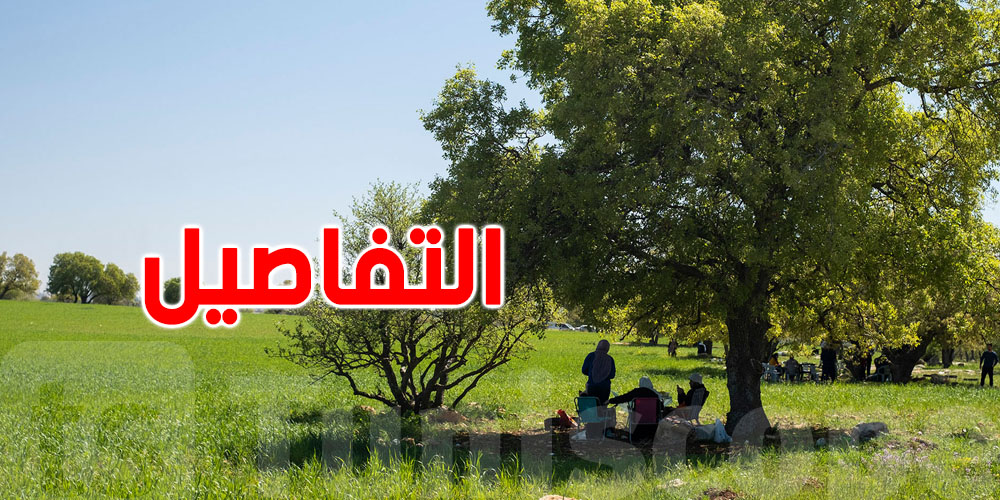 تونس: الحماية المدنية تدعو إلى الالتزام بإجراءات السلامة خلال رحلات التّنزه