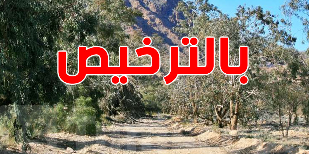 عاجل: ما عادش تنجم تزور المحميات الطبيعية والغابات كيف ما تحب؟!