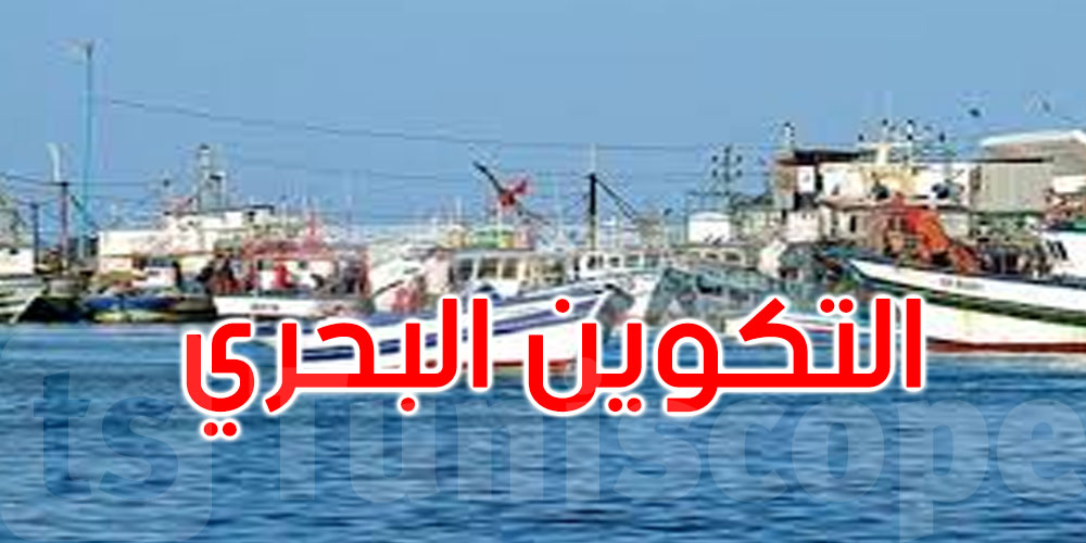 وزارة النقل تضبط قائمة أعضاء اللجنة الاستشارية في مجال التكوين البحري ومهامها