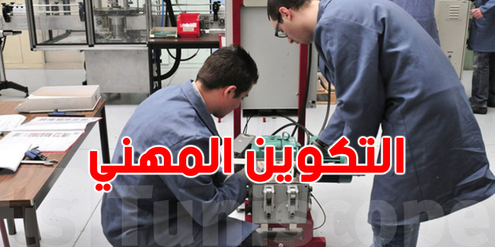 عاجل: شهادات مهنية تُعادل الباكالوريا و''باك +2''.. التفاصيل هنا