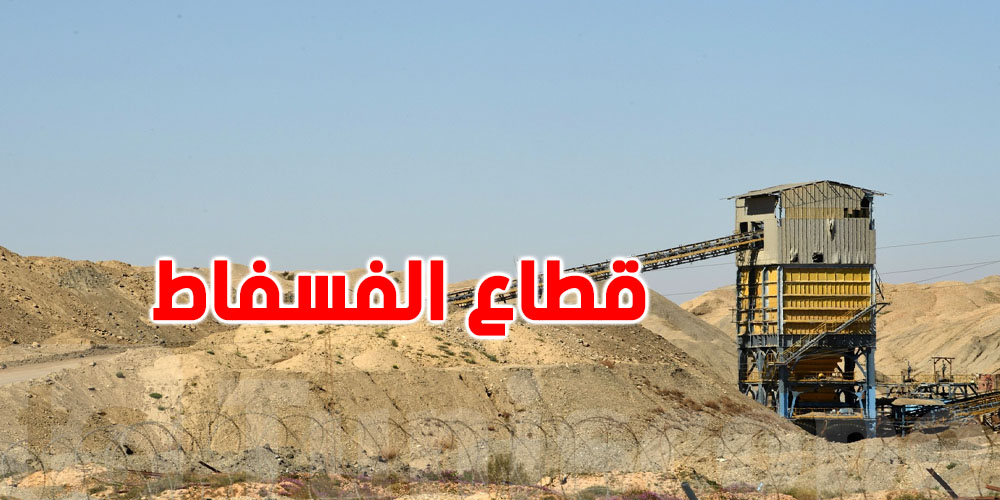 خبير دولي  في الطاقة : تراجع انتاج تونس للفسفاط والأسعار طالعة عالميًا… شكون المسؤول؟