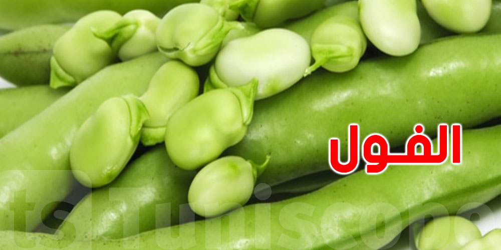 الفول الأخضر: لن تتوقّع فوائده
