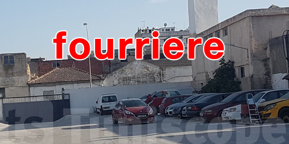 Réduction historique des taxes sur biens saisis : ce qu’il faut savoir