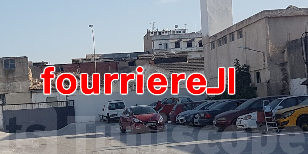 يهمّك تعرّف: شنّوة الحاجات الجديدة الي باش تتطبق في  الـfourrière 