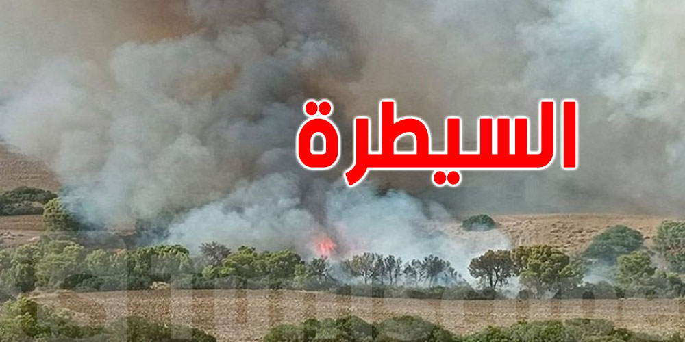 السيطرة على حريق جبل الفراشيش بسليانة دون خسائر بشرية