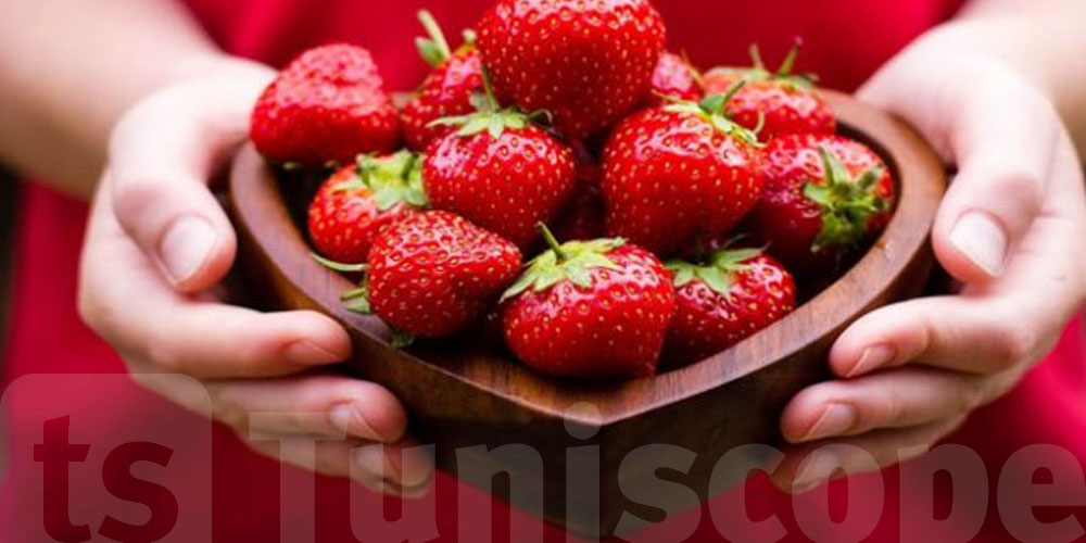 يهم التوانسة : الفراز سليم ...هيئة السلامة الصحية توضح و تكشف 