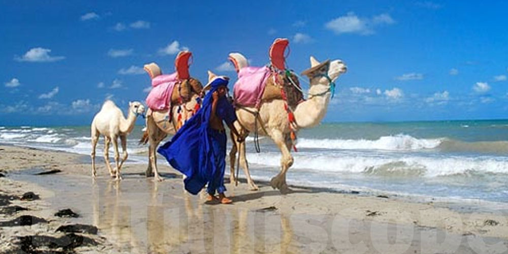 Un million de Français ont séjourné en Tunisie en 2025