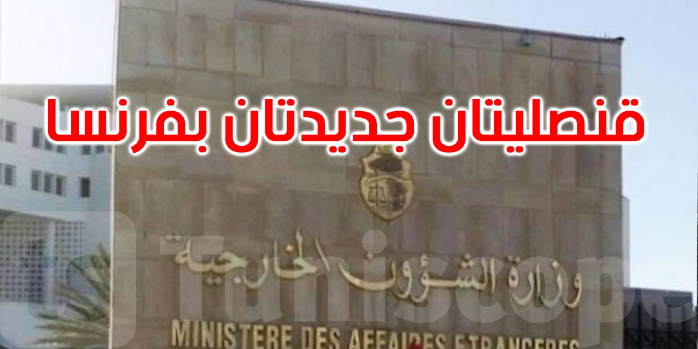 وزارة الخارجية: فتح وكالتين قنصليتين جديدتين في أجاكسيو وبوردو بفرنسا