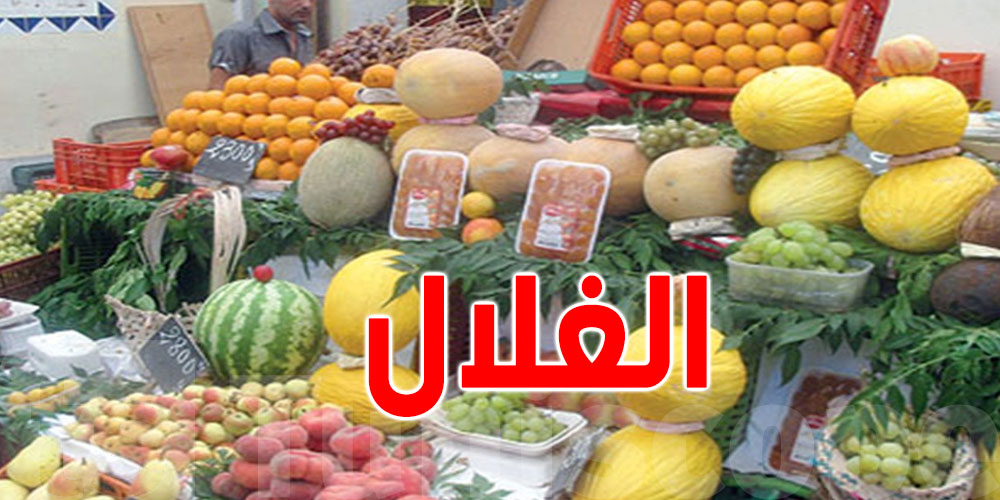 تونس تربح 45.8 مليون دينار من الغلال: أسواق عالمية تتهافت على المنتوج