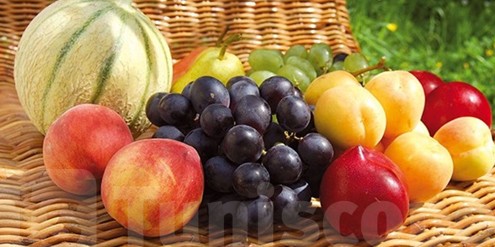 خبر يفرّح التوانسة: إنتاج الغلّة السنا بش يزيد