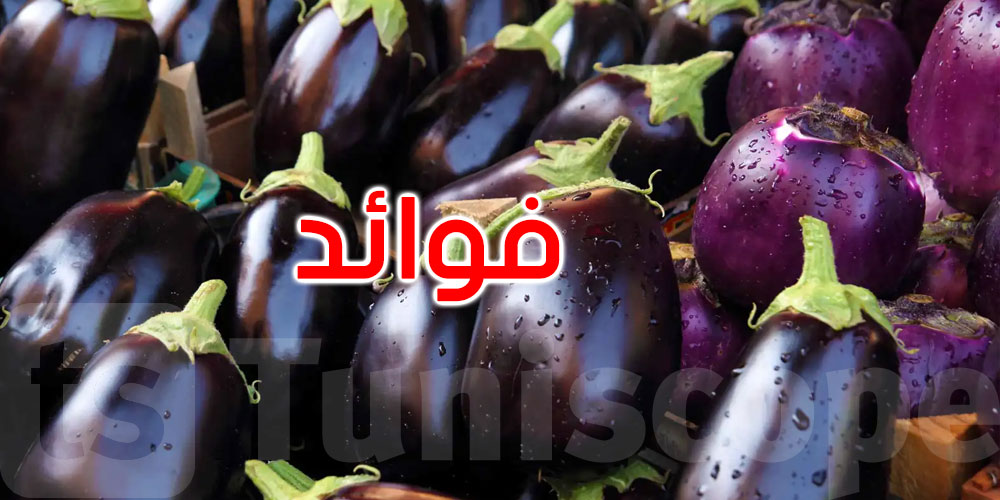 قبل الاستغناء عنها.. هل تعلم ما تحتويه قشرة الباذنجان البنفسجية؟