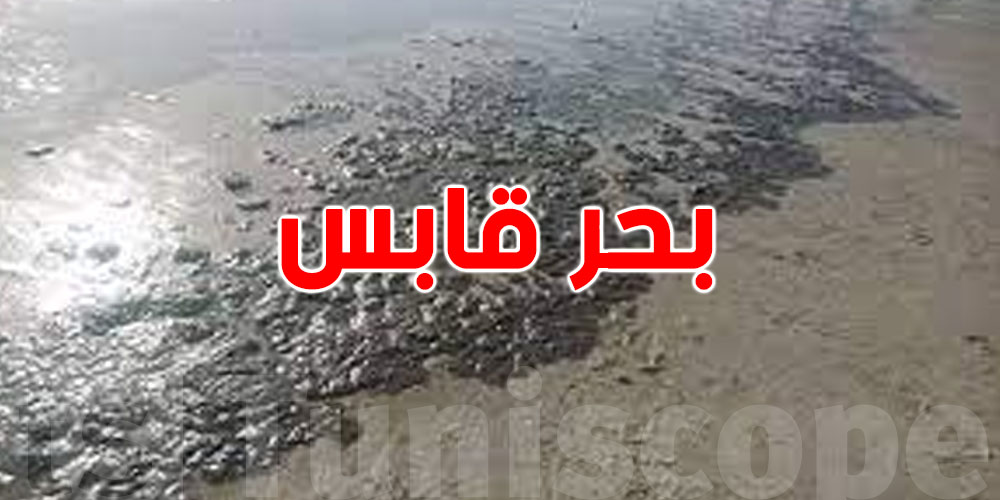 عاجل: خبير يصرّح.. توقف سكب الفوسفوجيبس يعيد نظافة بحر قابس في سنة واحدة