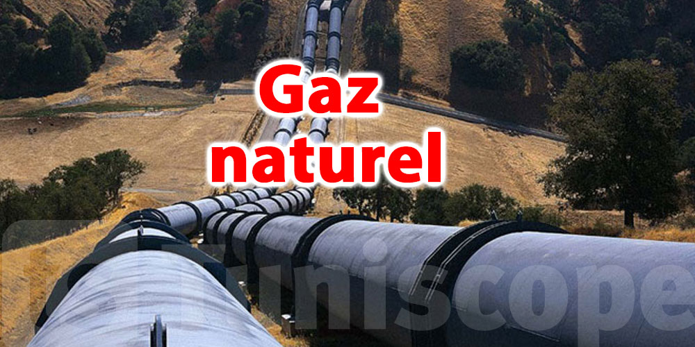 La Tunisie souhaite augmenter le volume de gaz naturel importé d’Algérie