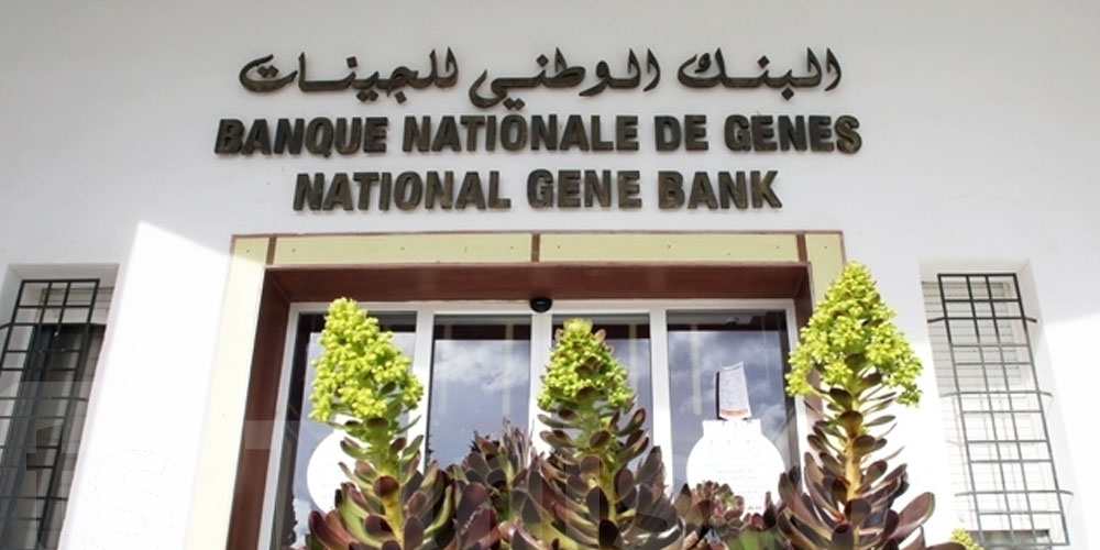 Fin de fonctions du DG de la Banque nationale des gènes