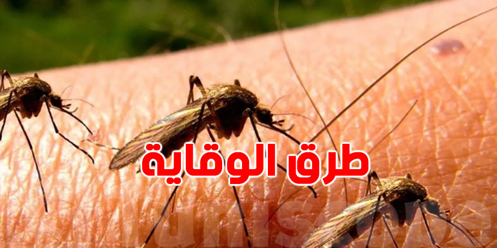 كيفاش تحمي روحك من لسعات البعوض الناقل للفيروس؟