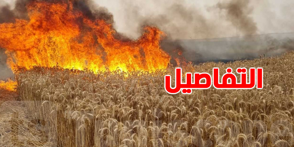 إجراءات وقائية مهمة لموسم الحصاد: كيف تحمي نفسك ومحاصيلك؟