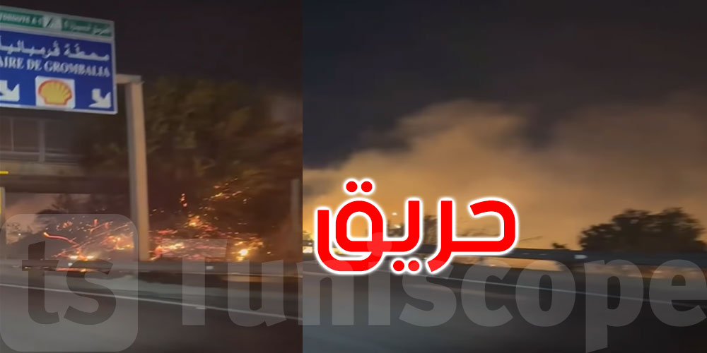 قرمبالية: اندلاع حريق بجانب الطريق السيارة أ1