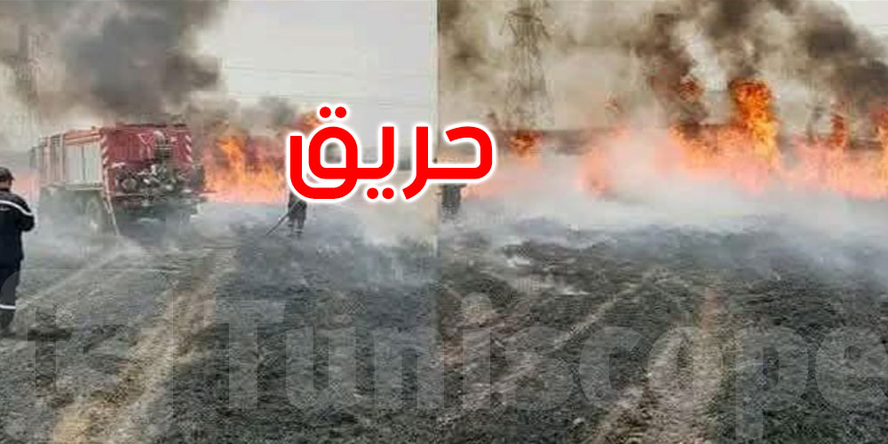 نابل: حريق يأتي على نحو 2.5 هكتار من حقول القمح في بوعرقوب