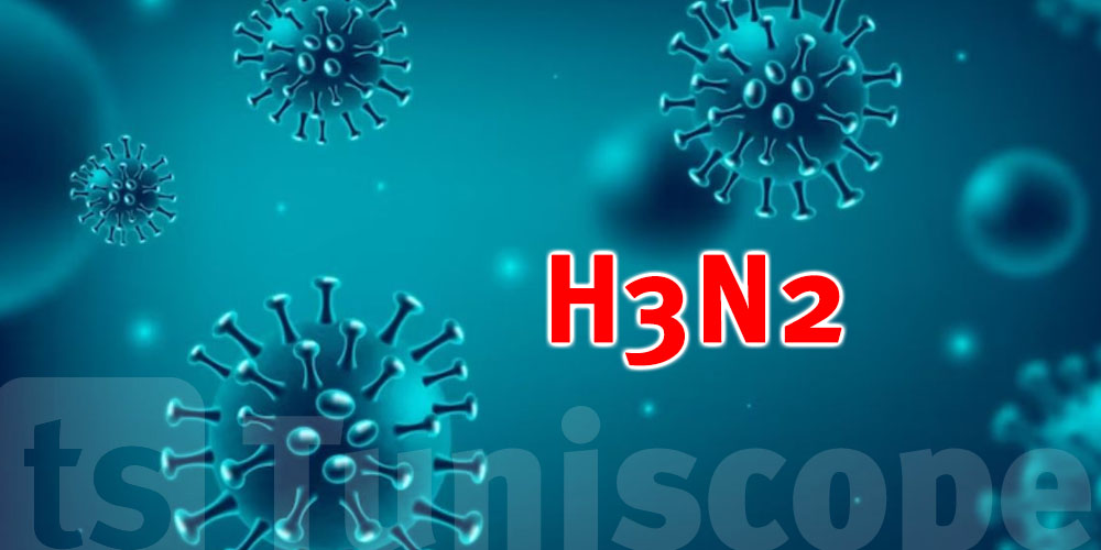 Le virus H3N2 commence à circuler depuis début novembre