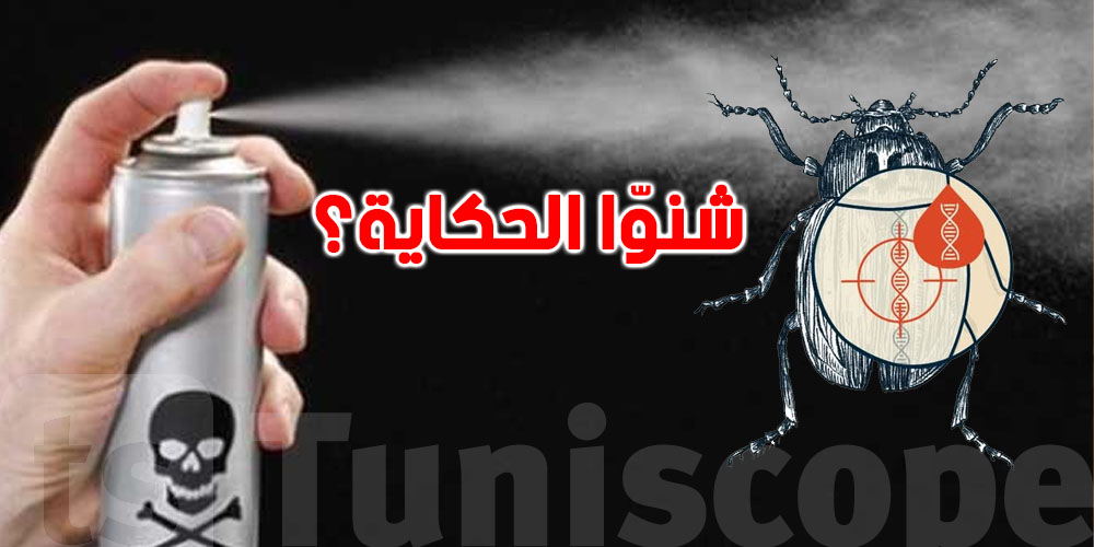 حمدي حشاد يحذّر: مبيد حشرات جديد يفتح باب أسئلة خطيرة