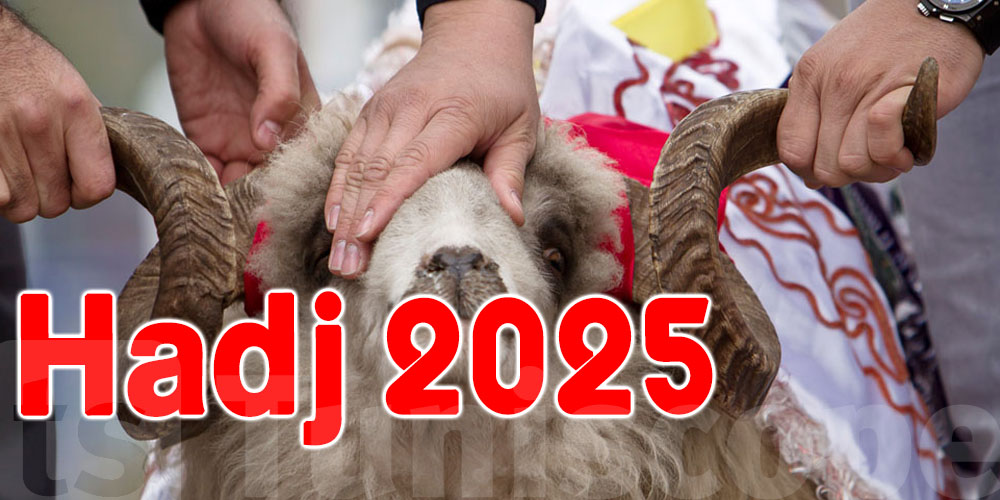 Adahi : Le prix du coupon de sacrifice fixé à 192 dollars pour le Hajj 1446 H / 2025