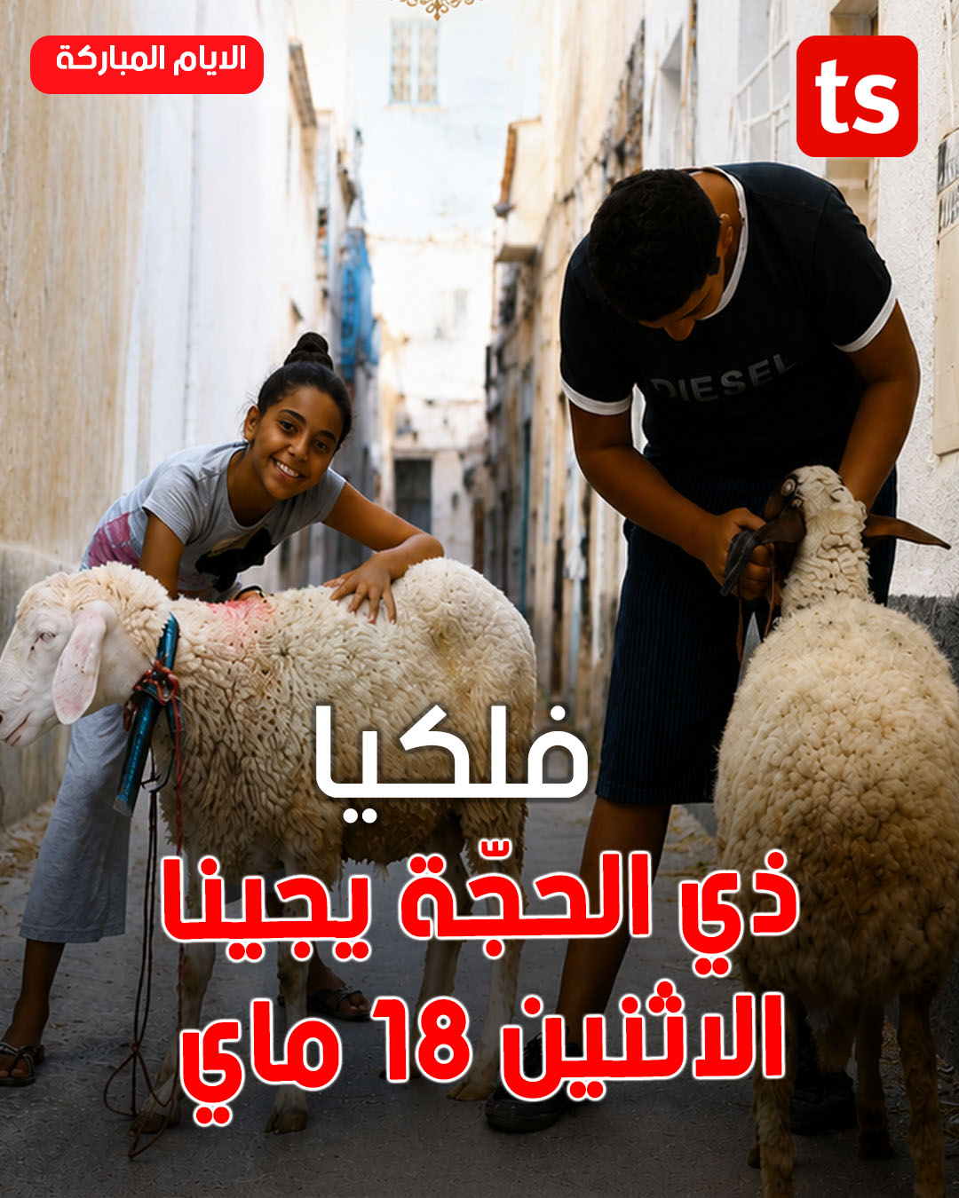 عاجل : وفاة حاجة على متن طائرة متجهة إلى المدينة المنورة