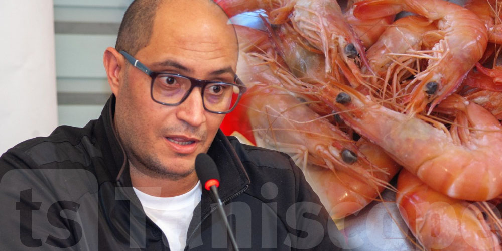 Des crevettes américaines en Tunisie : Hamdi Hachad explique les risques pour la biodiversité marine