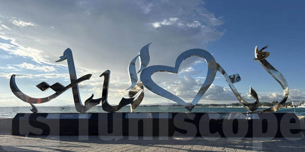   سقوط مجسّم ‘أحب الحمامات’