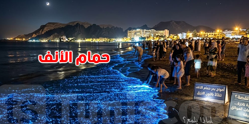 علاش البحر يضوي باللون الأزرق في الليل في حمام الانف ؟