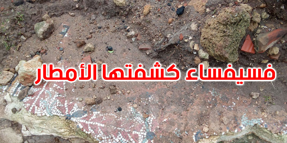 صور: عملية إنقاذ فسيفساء تاريخية بالهوارية