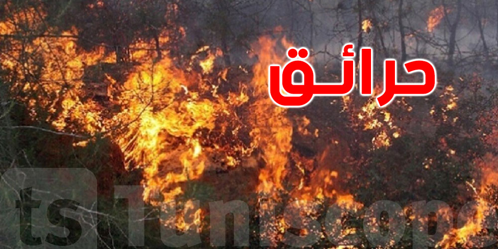 ارتفاع هائل في حرائق تونس: 147 تدخل إطفاء خلال 24 ساعة فقط!