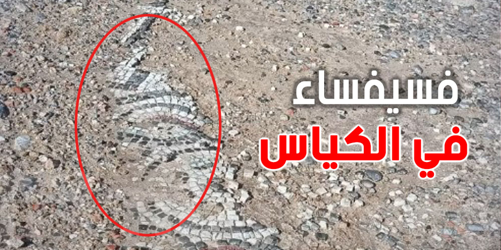 عاجل: شنيا حكاية تصاور لوحة فسيفساء تاريخية بالهوارية على مواقع التواصل الاجتماعي؟